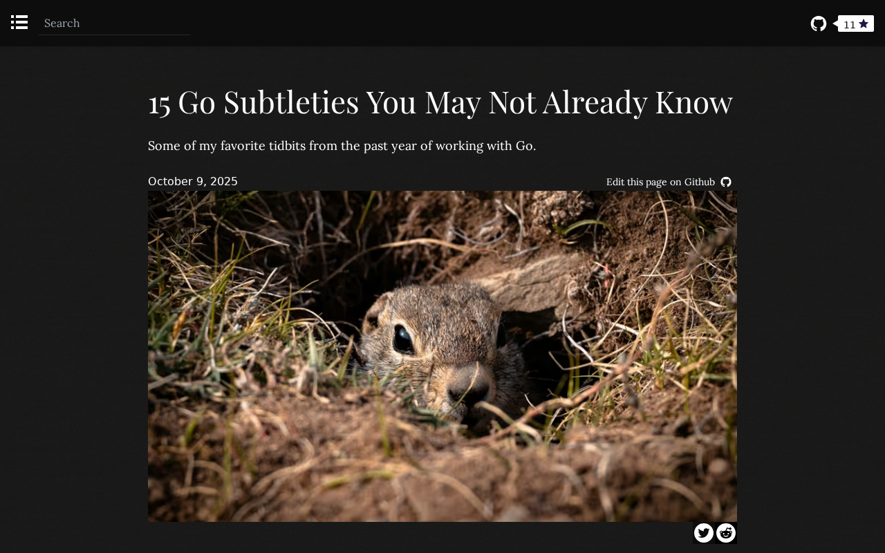 Screenshot of 15 Go Subtleties You May Not Already Know