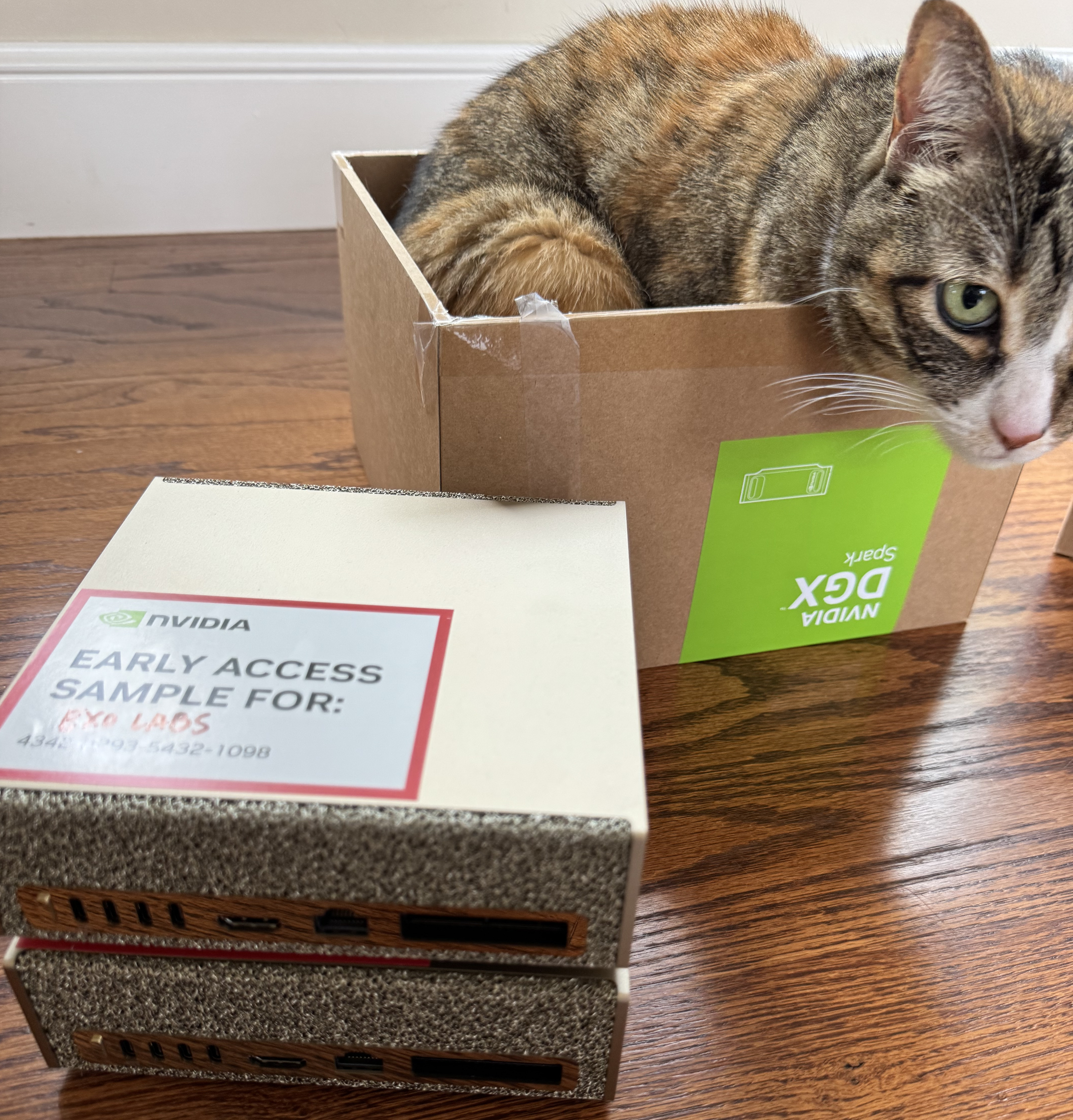 Screenshot of Combining NVIDIA DGX Spark + Apple Mac Studio for 4x Faster LLM Inference with EXO 1.0