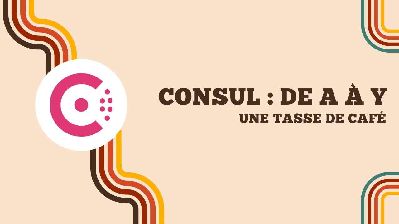 Screenshot of Consul : de A à Y