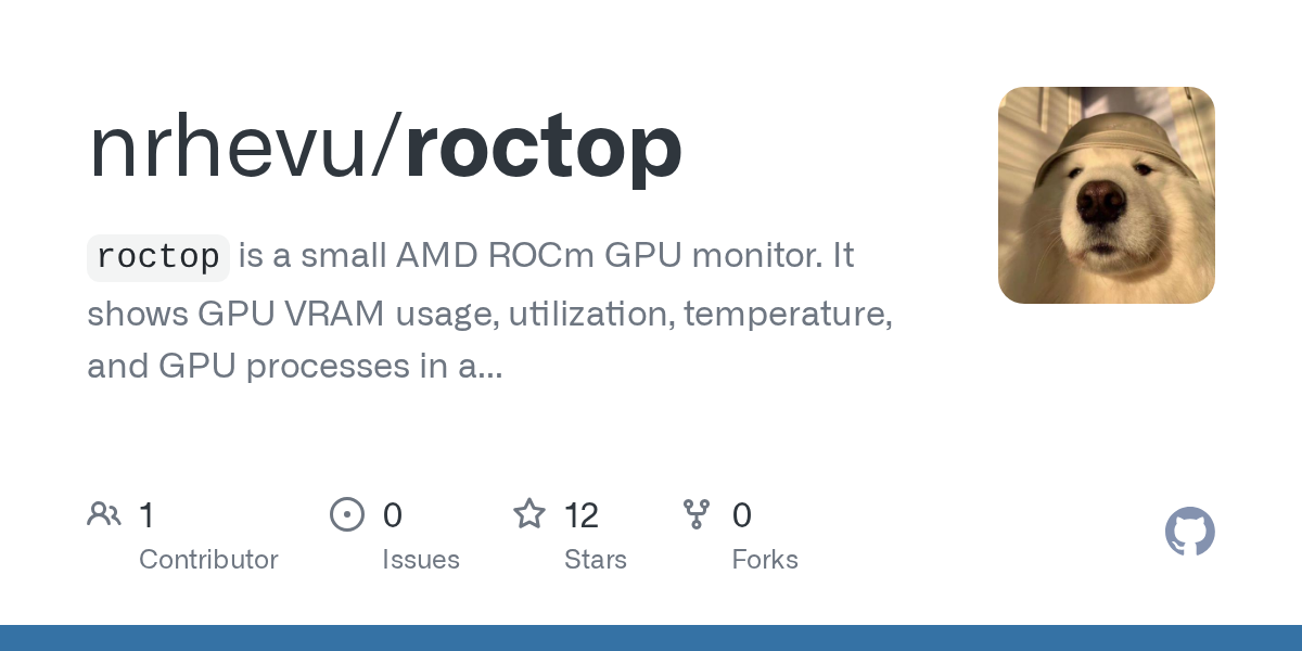 Screenshot of GitHub - nrhevu/roctop
