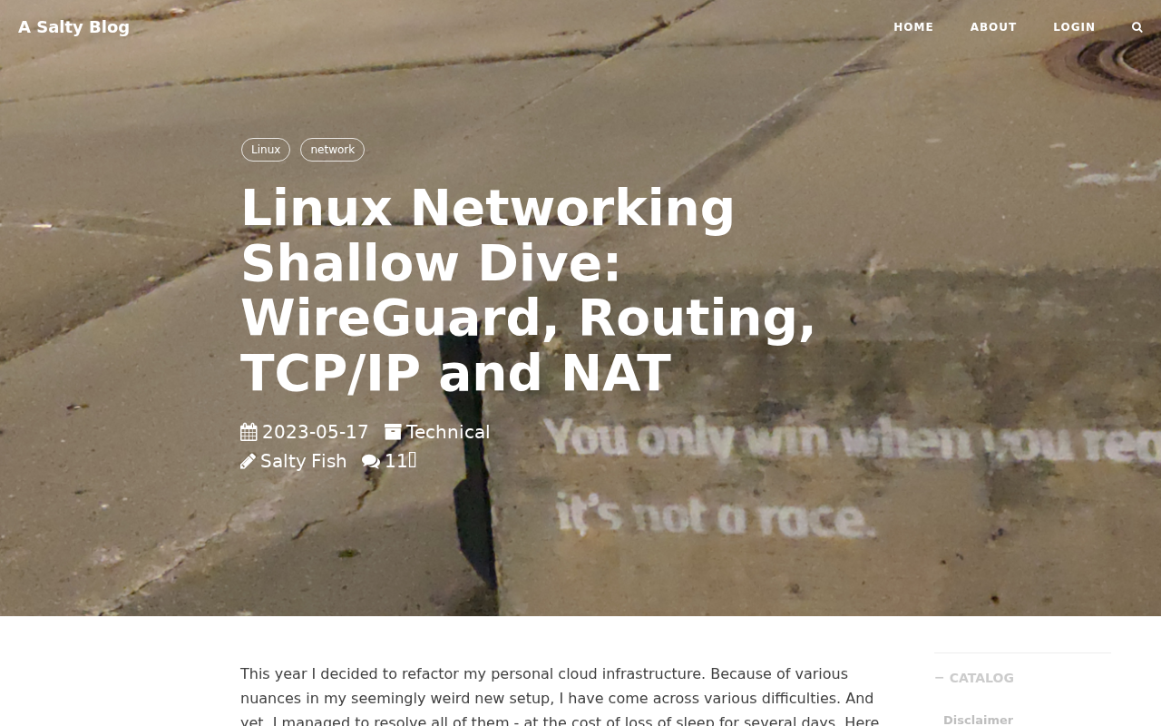 Screenshot of Linux Networking Shallow Dive: WireGuard, Routing, TCP/IP and NAT - A Salty Blog