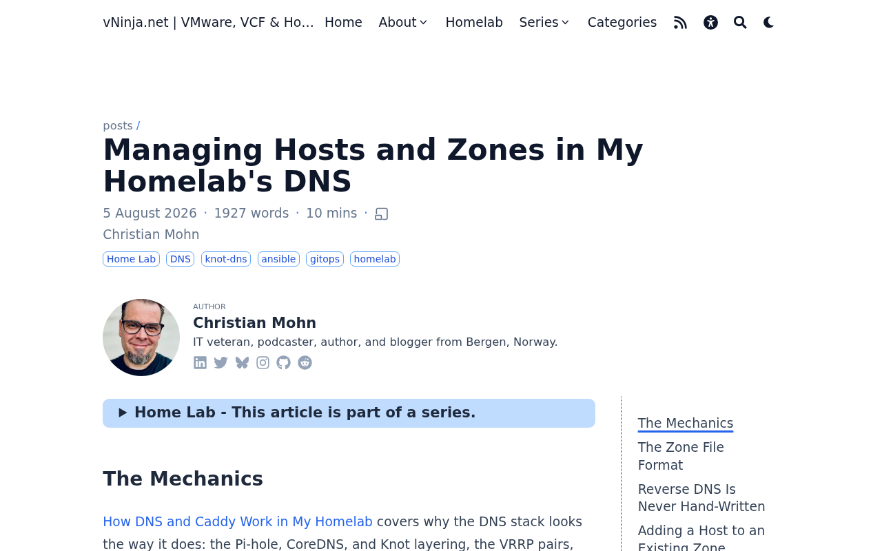 Screenshot of Managing Hosts and Zones in My Homelab's DNS