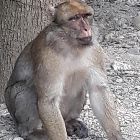 Screenshot of (mcorbin.fr): Pourquoi le DNS de Kubernetes est claqué au sol (notamment avec kube-proxy en iptables)