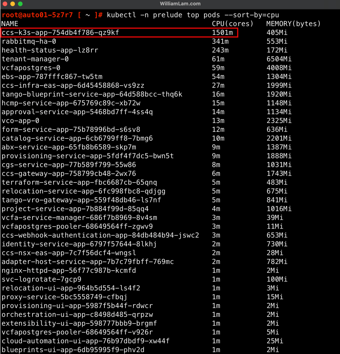 Screenshot of Quick Tip - Workaround for High CPU usage for ccs-k3s-app in VCF 9.0 Automation 