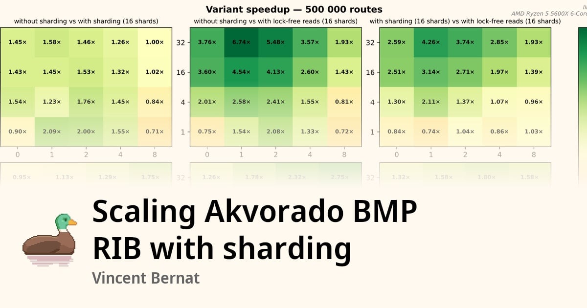 Screenshot of Scaling Akvorado BMP RIB with sharding