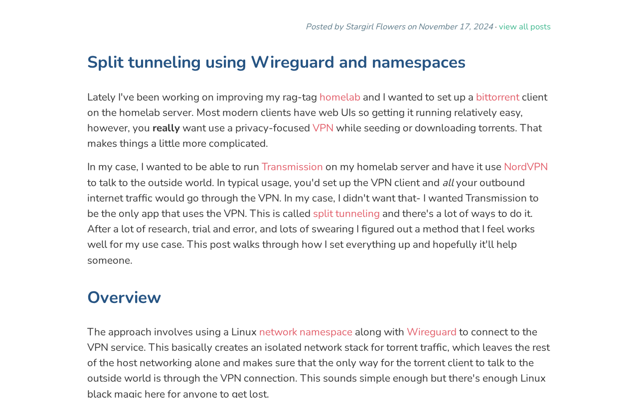 Screenshot of Split tunneling using Wireguard and namespaces - Thea Flowers