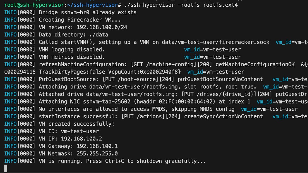 Screenshot of ssh-hypervisor: "SimCity for VMs"
