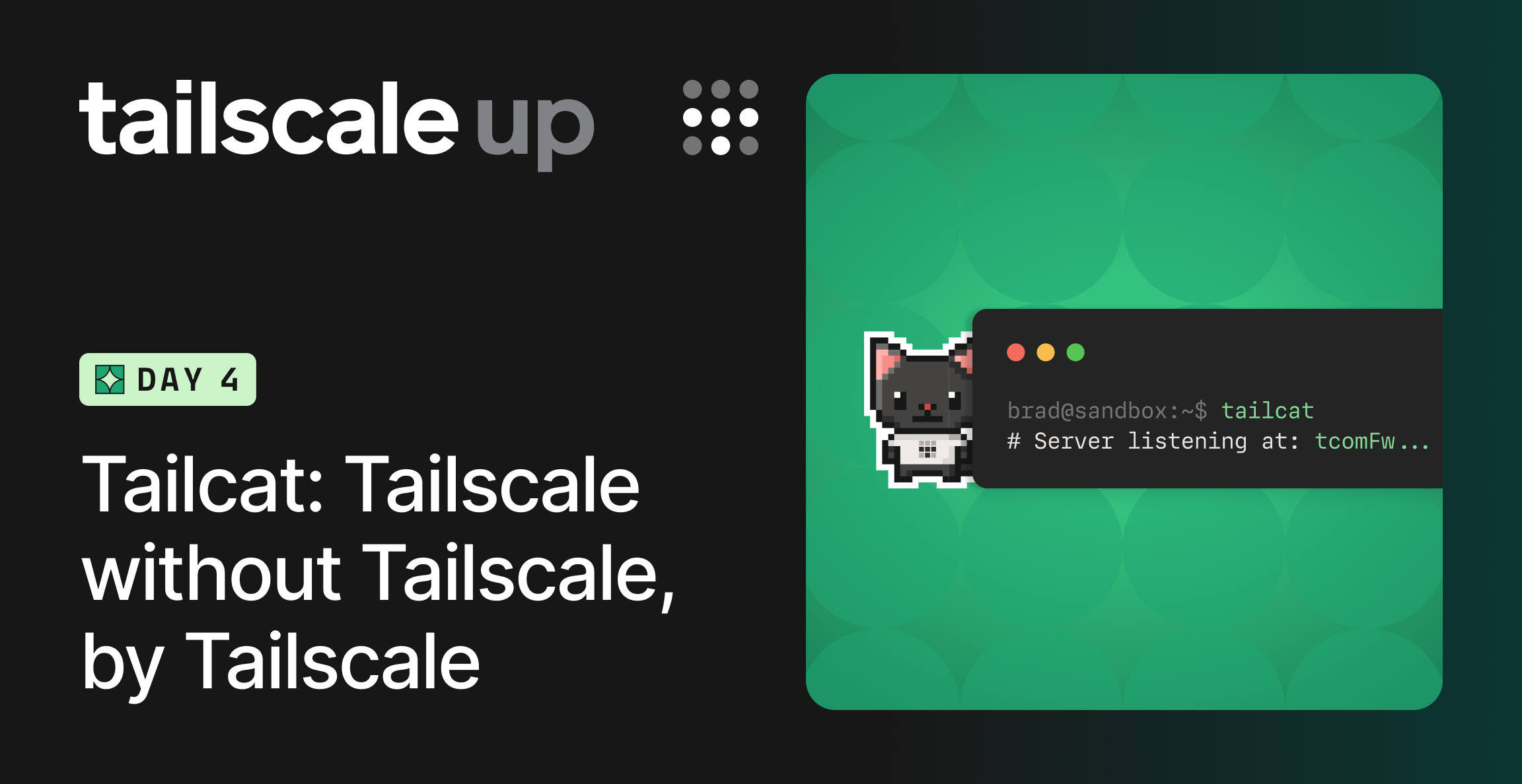 Screenshot of Tailcat: An open-source CLI for Tailscale’s WireGuard®, NAT traversal, and DERP