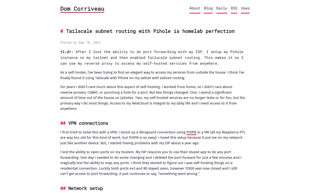 Screenshot of Tailscale subnet routing with Pihole is homelab perfection