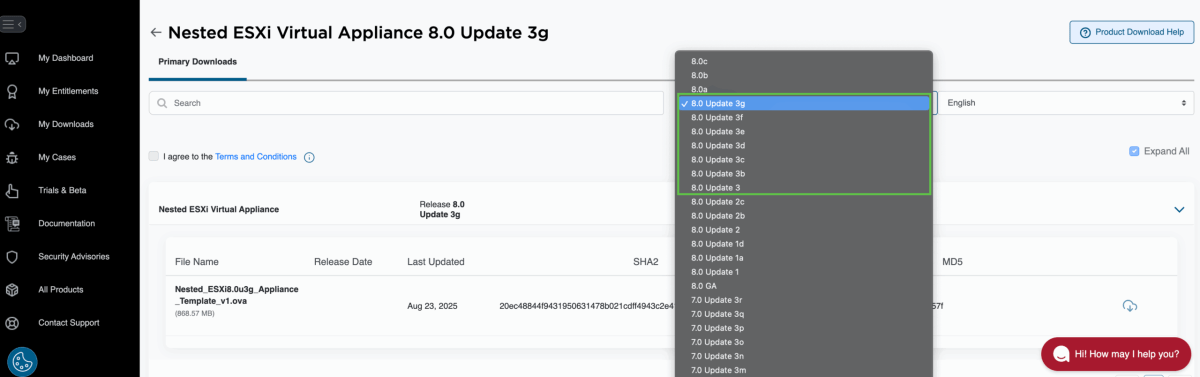 Screenshot of Updated Nested ESXi 8.x & 9.0 Virtual Appliance
