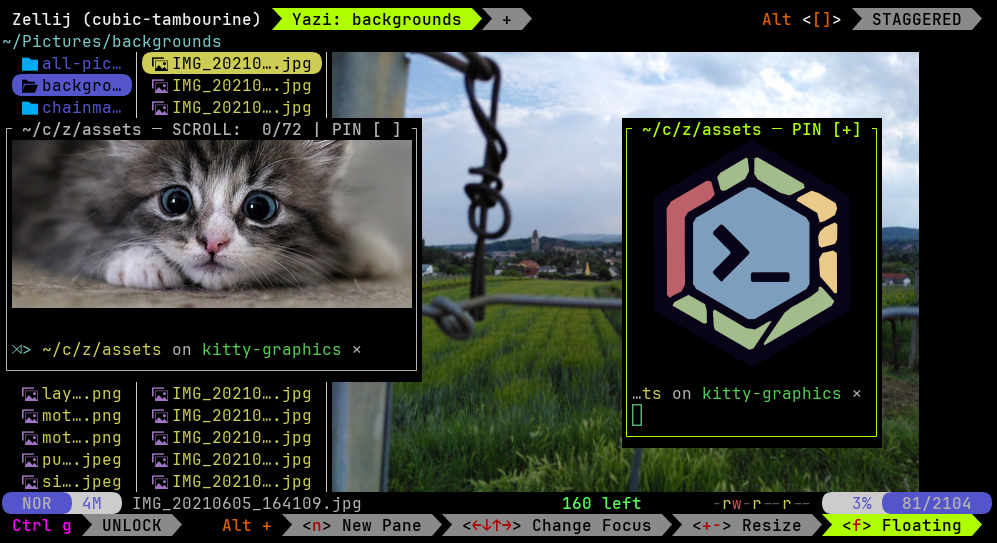 Screenshot of Zellij 0.45.0: nested sessions, Kitty graphics, a fresh UI